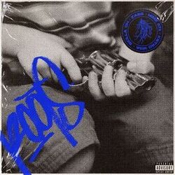 Cover of Roots