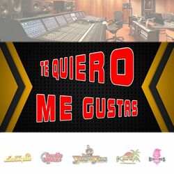 Cover of Te Quiero Me Gustas