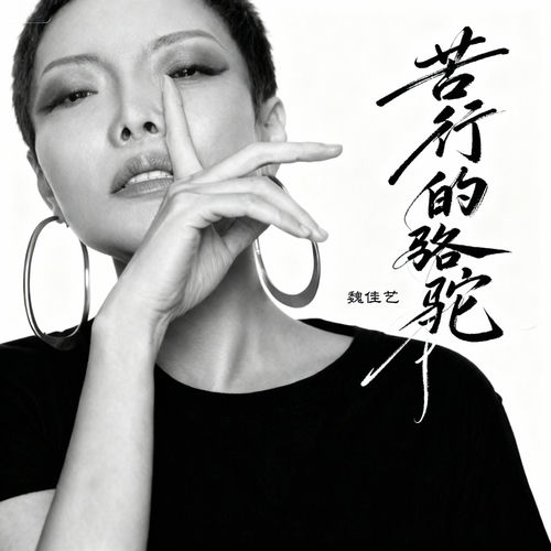 苦行的骆驼 (烟嗓女版)