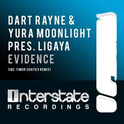 Cover of Evidence
