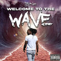 Welcome To The Wave