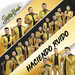 Cover of Haciendo Ruido