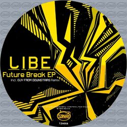 Cover of Future Break