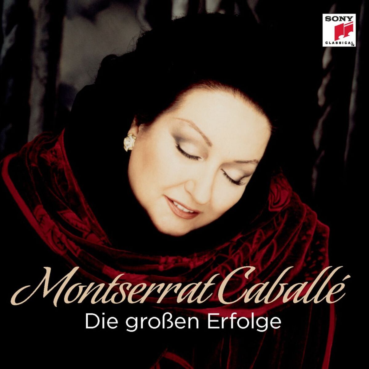 Album cover of Die großen Erfolge