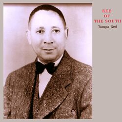 Cover of Red of the South