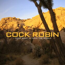 Pochette album