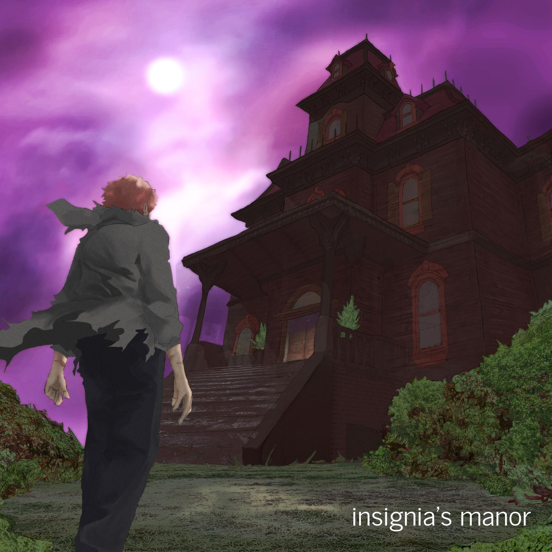 Album cover of insignia's manor