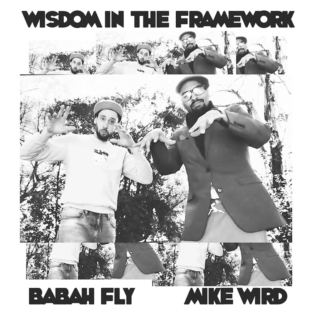 Picture of Wisdom in the Framework