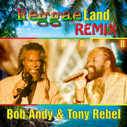 Cover of Reggae Land Remix - Single