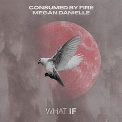 Cover of What If