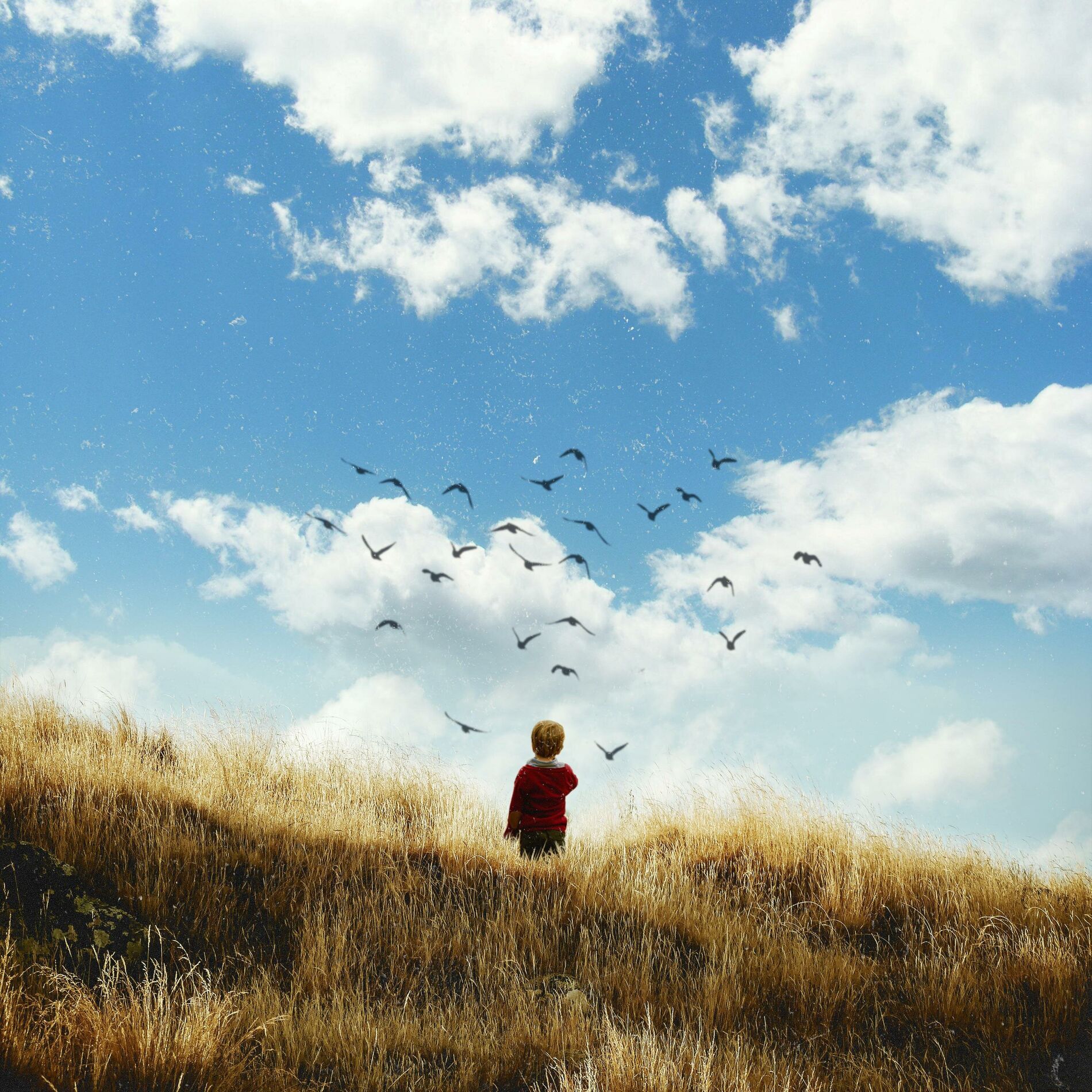 Album cover of Wait