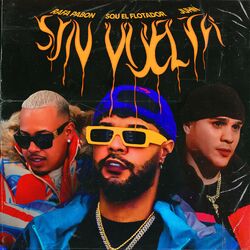 Cover of Sin Vuelta
