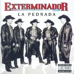 Cover of La Pedrada