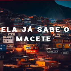 Cover of Ela Ja Sabe o Macete