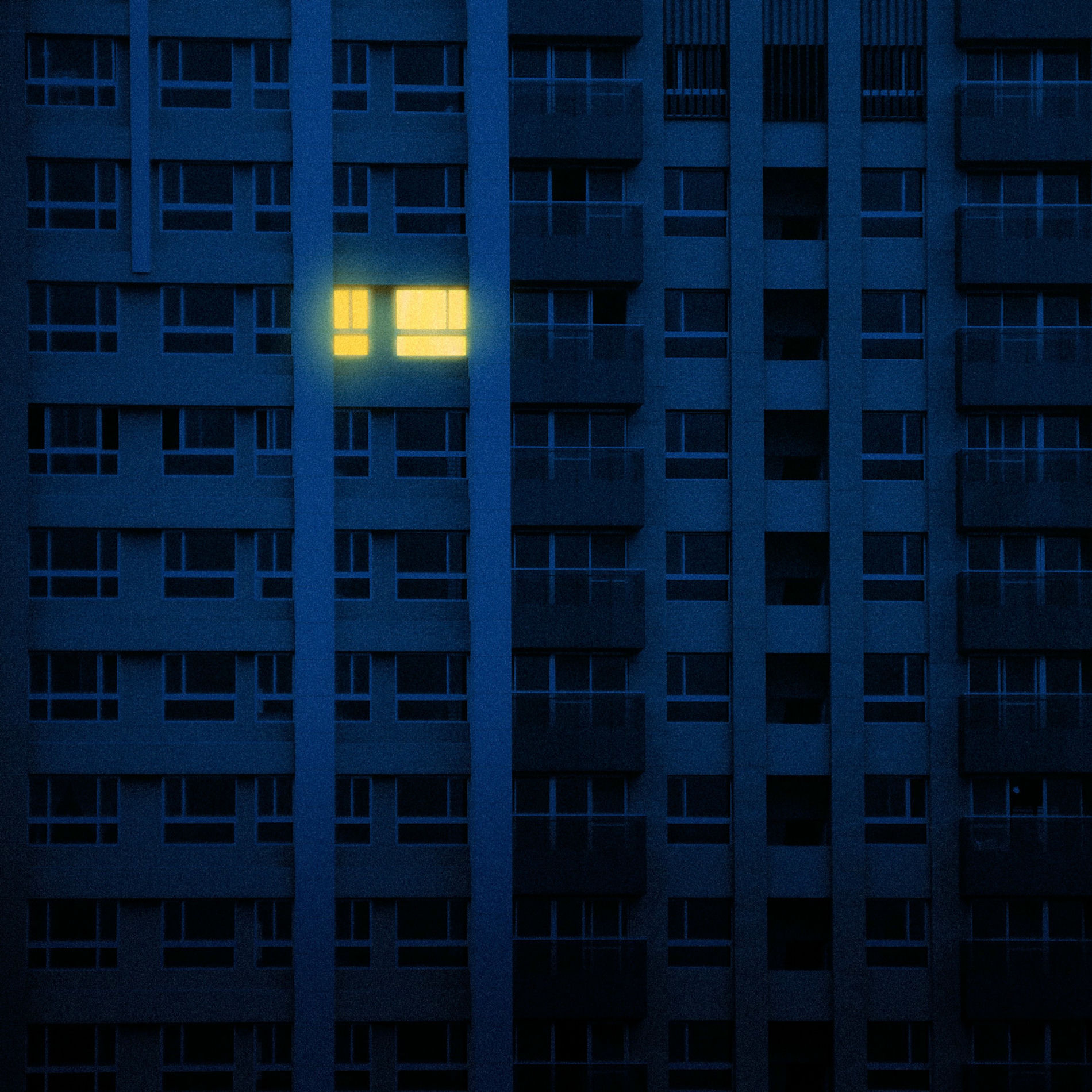 Album cover of Nocturnal