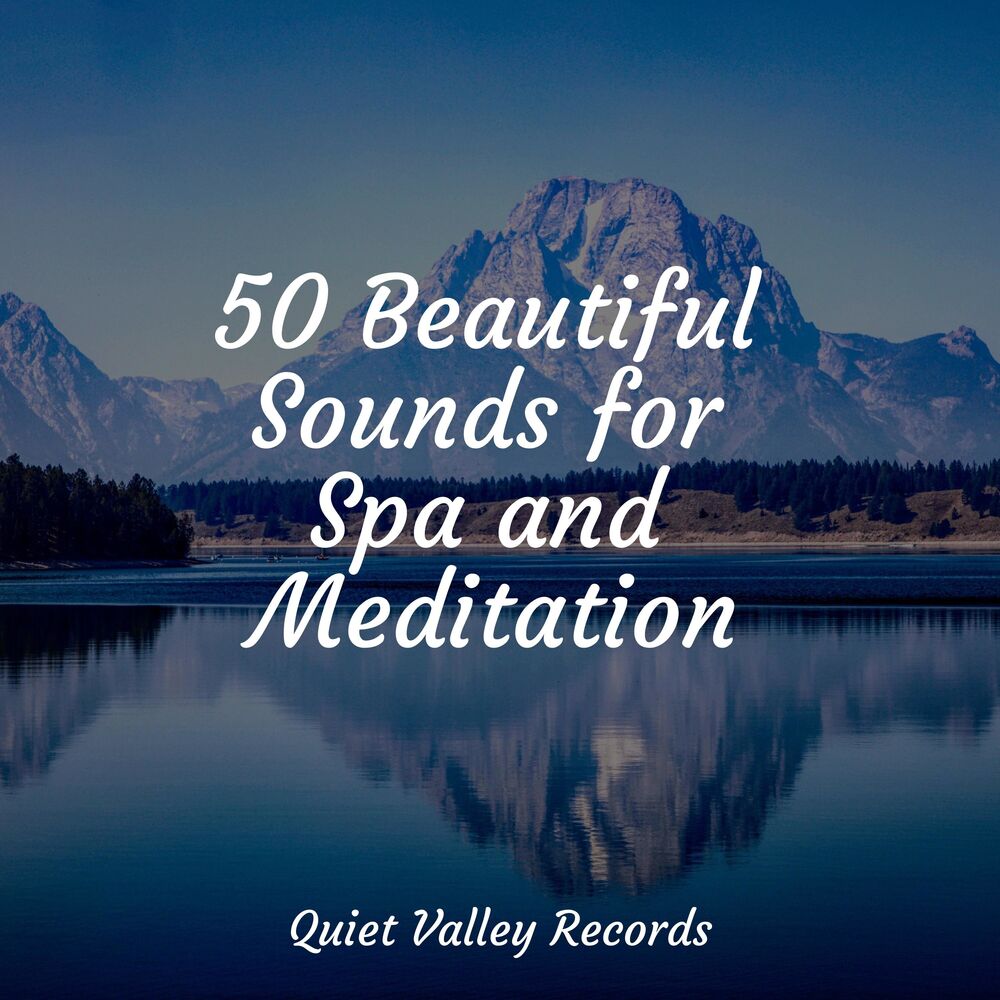 Picture of 50 Beautiful Sounds for Spa and Meditation