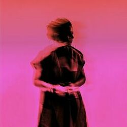 Cover of Reste un oiseau (Piers Faccini Remix)