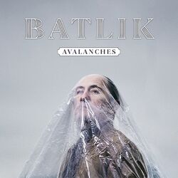 Cover of Avalanches