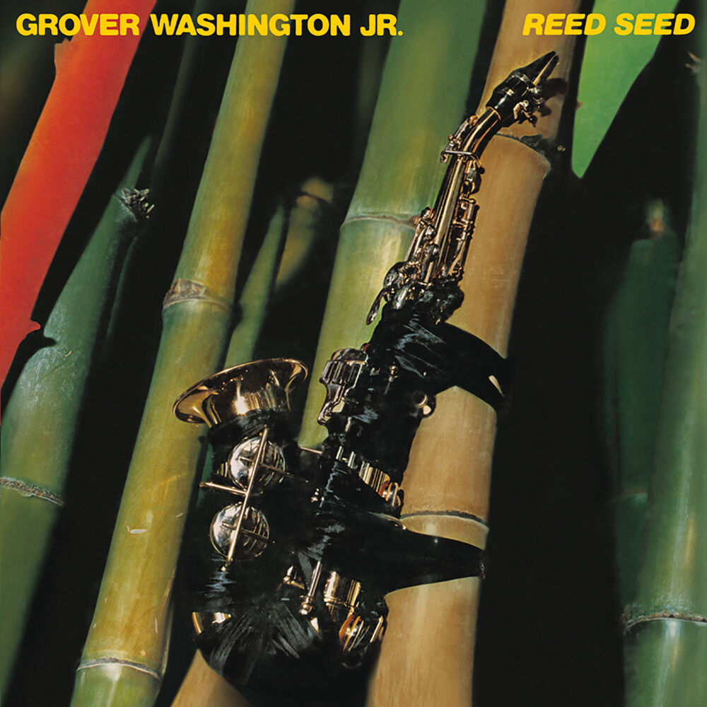 Picture of Reed Seed