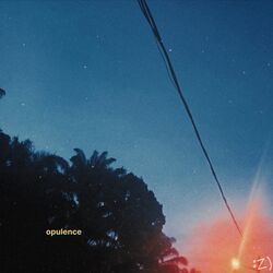 Cover of opulence