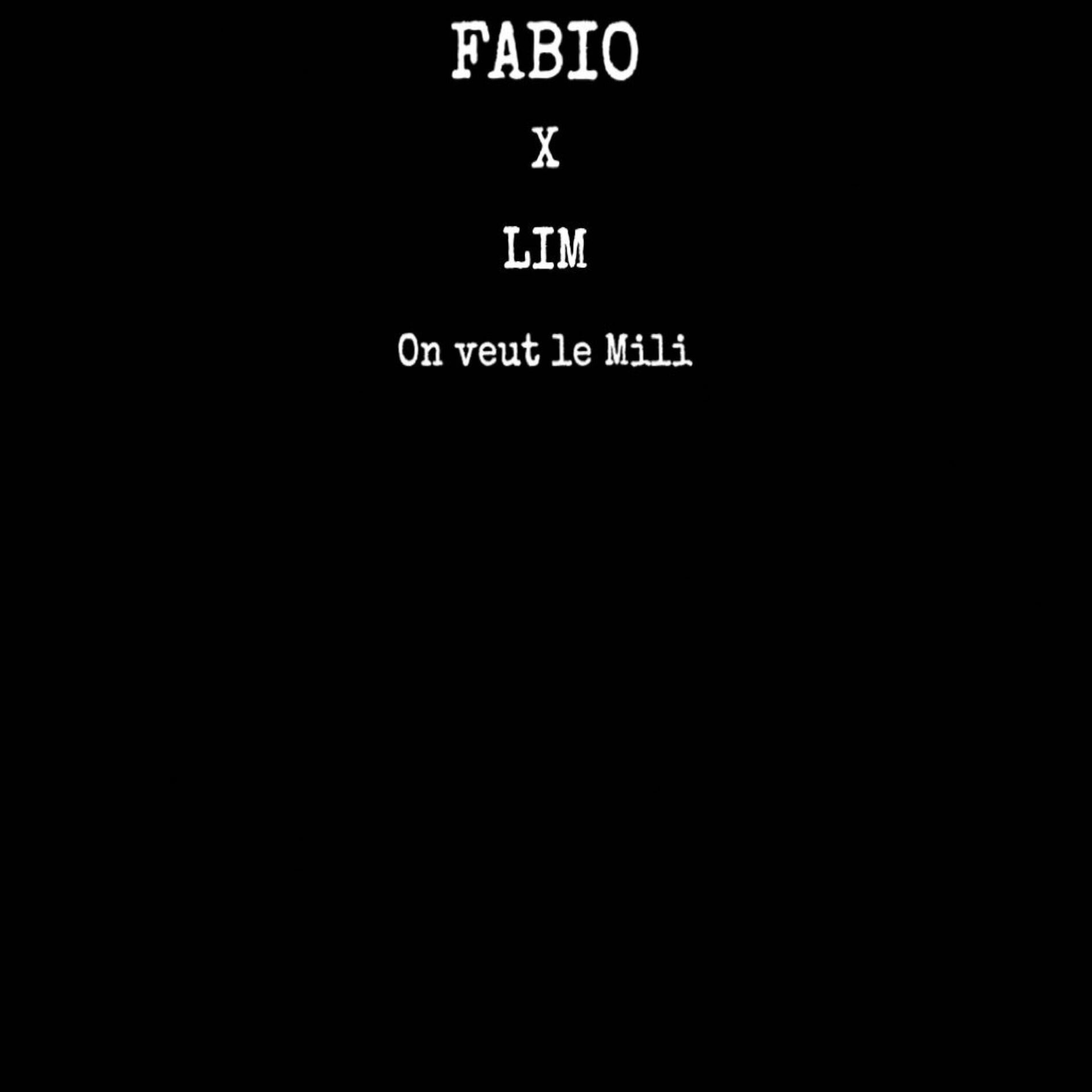 Album cover of On veut le mili (feat. LIM)