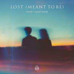 Cover of Lost (Meant To Be)