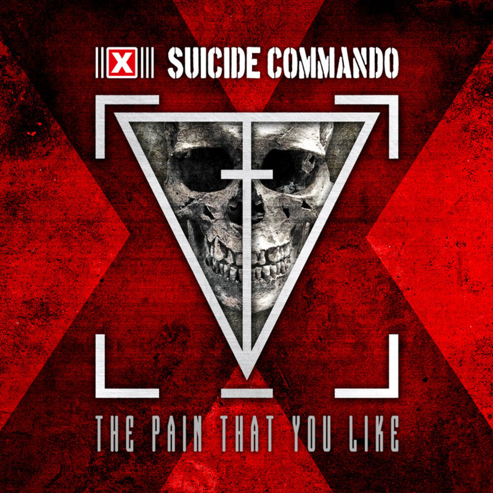 Picture of The Pain That You Like
