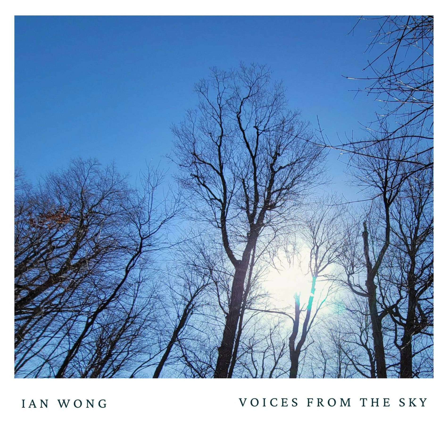 Album cover of Voices From The Sky (Remastered)