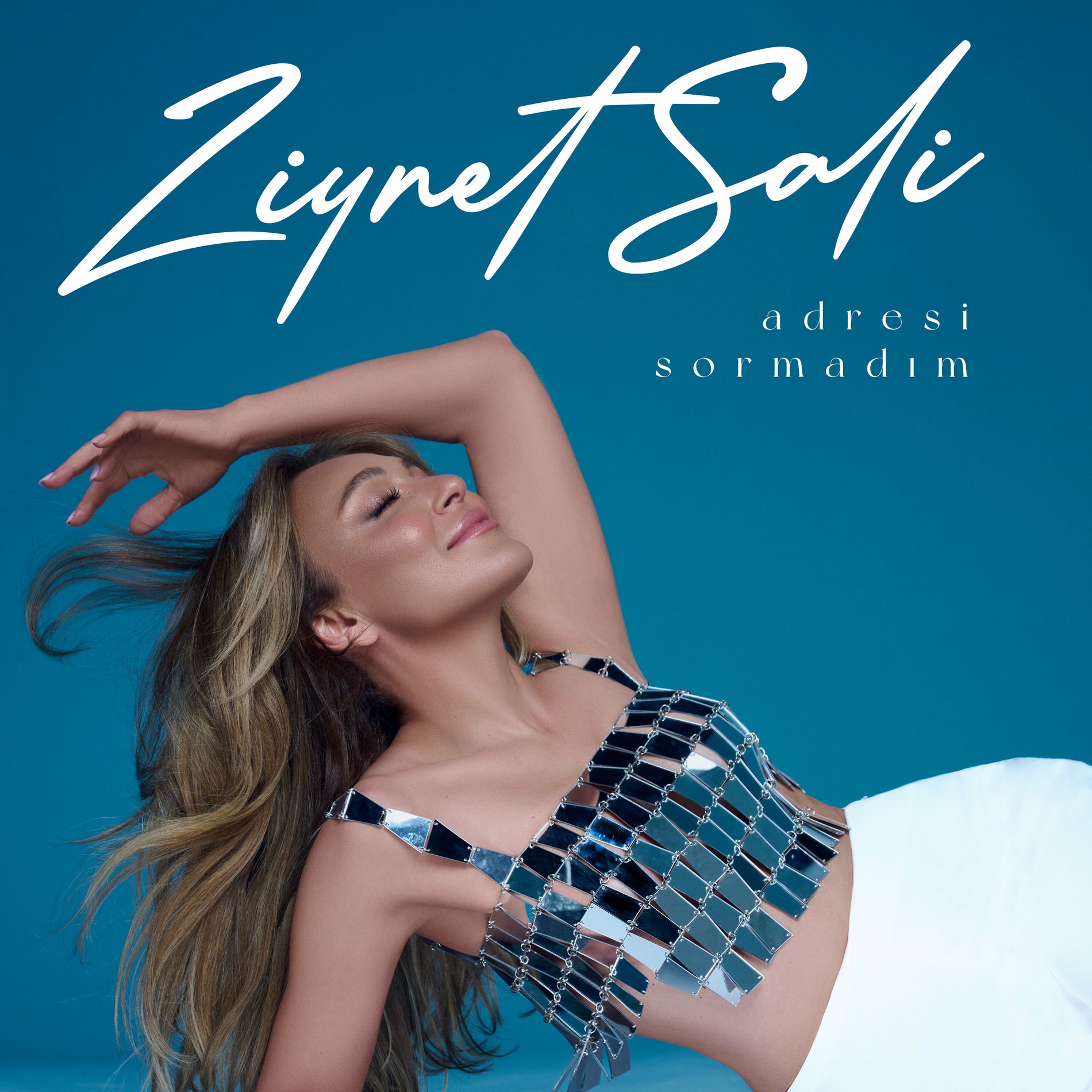 Album cover of Adresi Sormadım