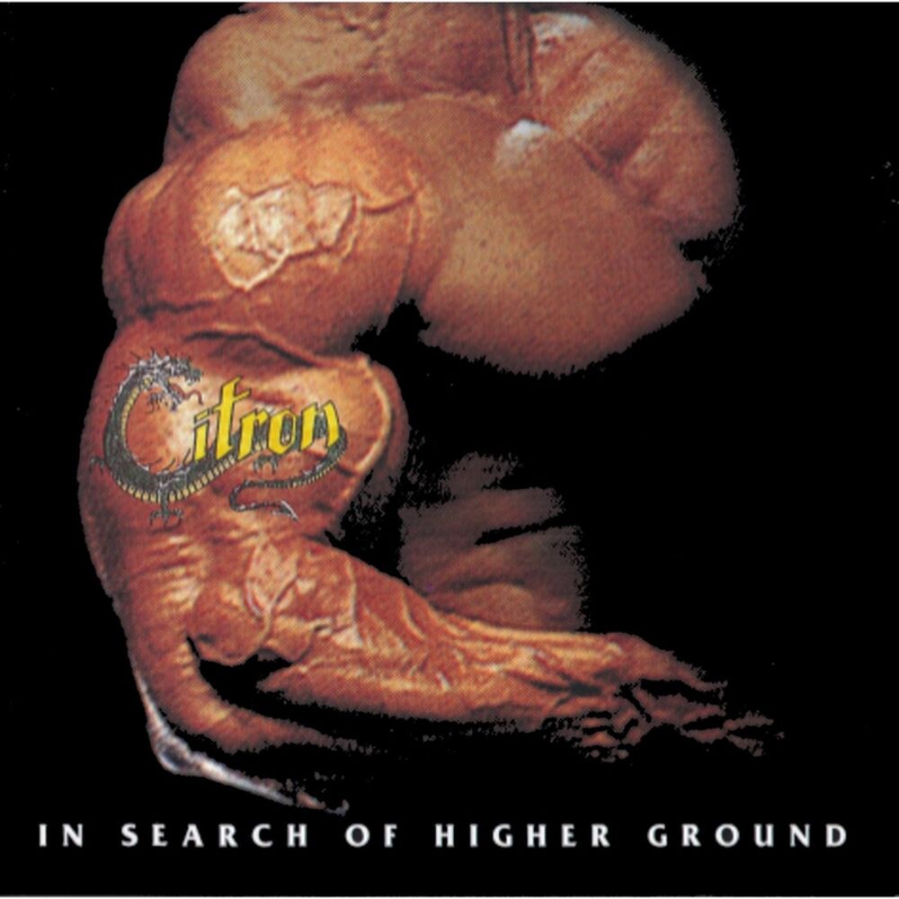 Picture of In Search of Higher Ground