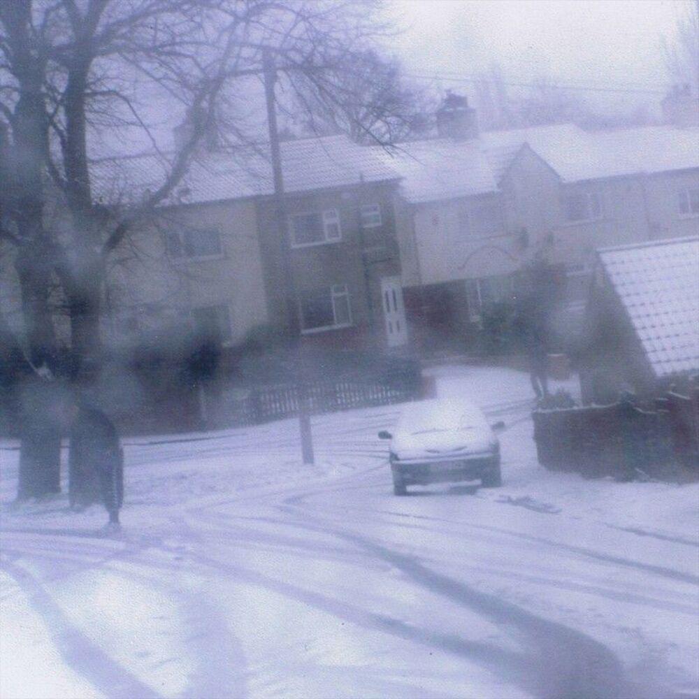 Picture of The Declining Winter (Remixes)