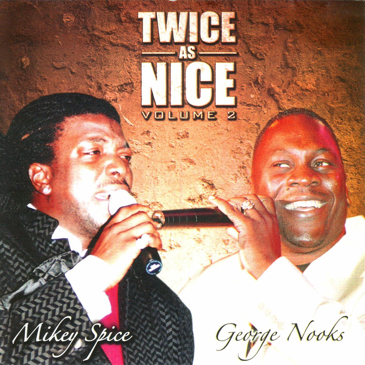 Album cover of Twice as Nice Vol. 2