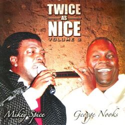 Cover of Twice as Nice Vol. 2