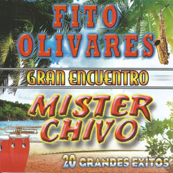 Cover of 20 Grandes Éxitos