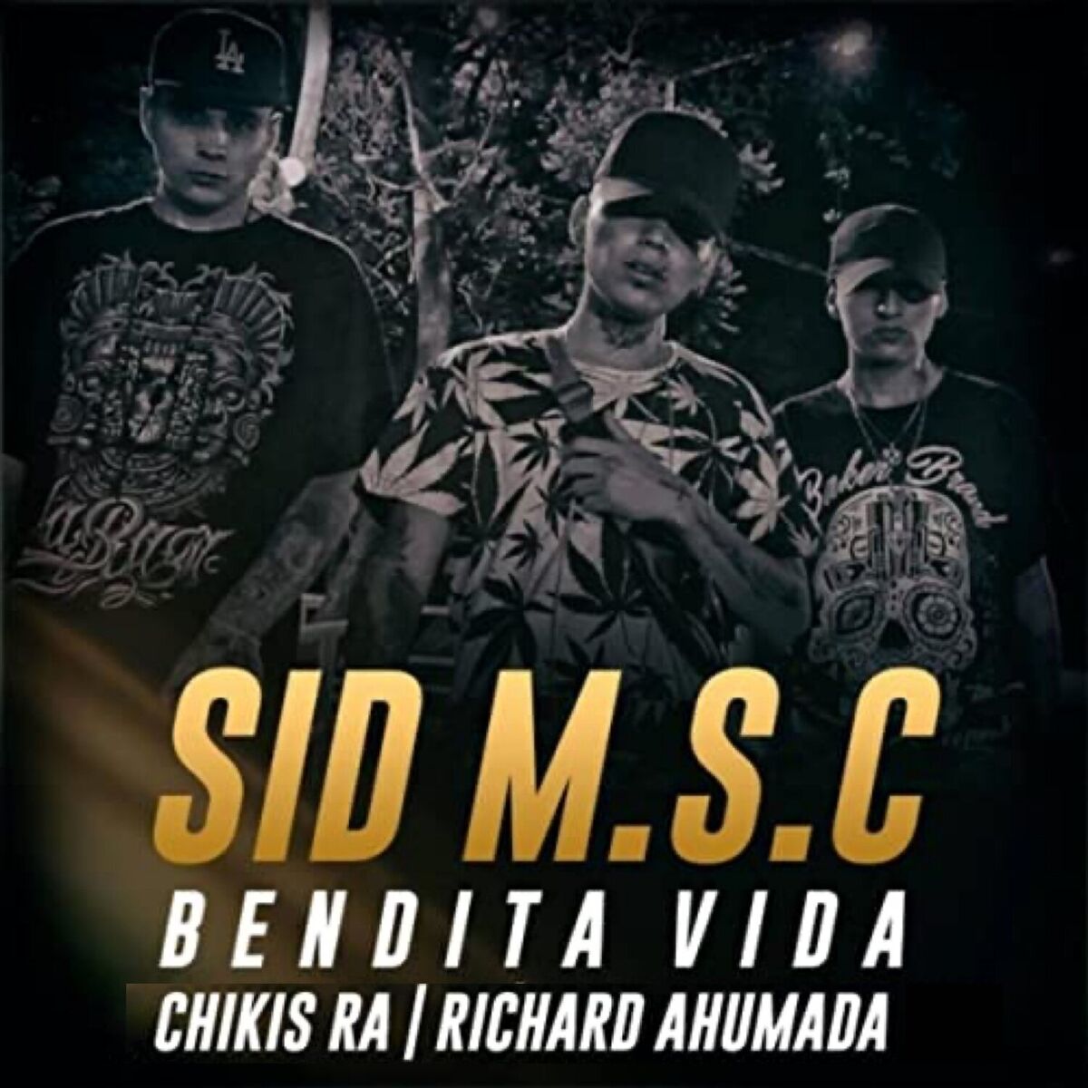 Album cover of Bendita Vida