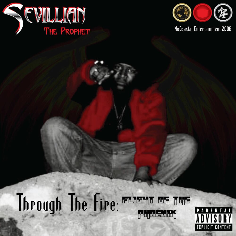Picture of Through the Fire: Flight of the Phoenix