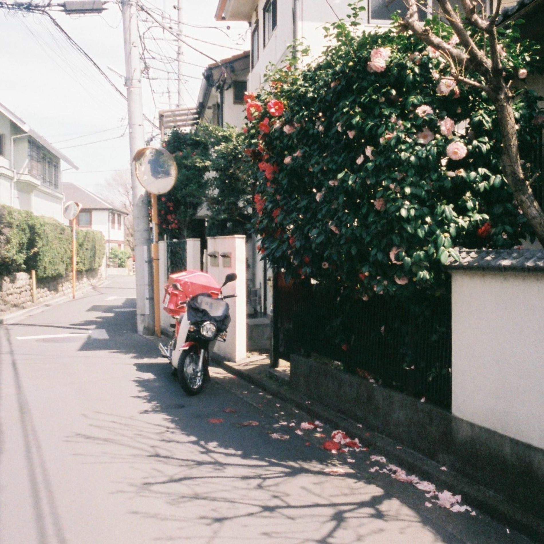 Album cover of memory of flowers