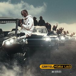 Cover of Cartel : volume 1 & 2