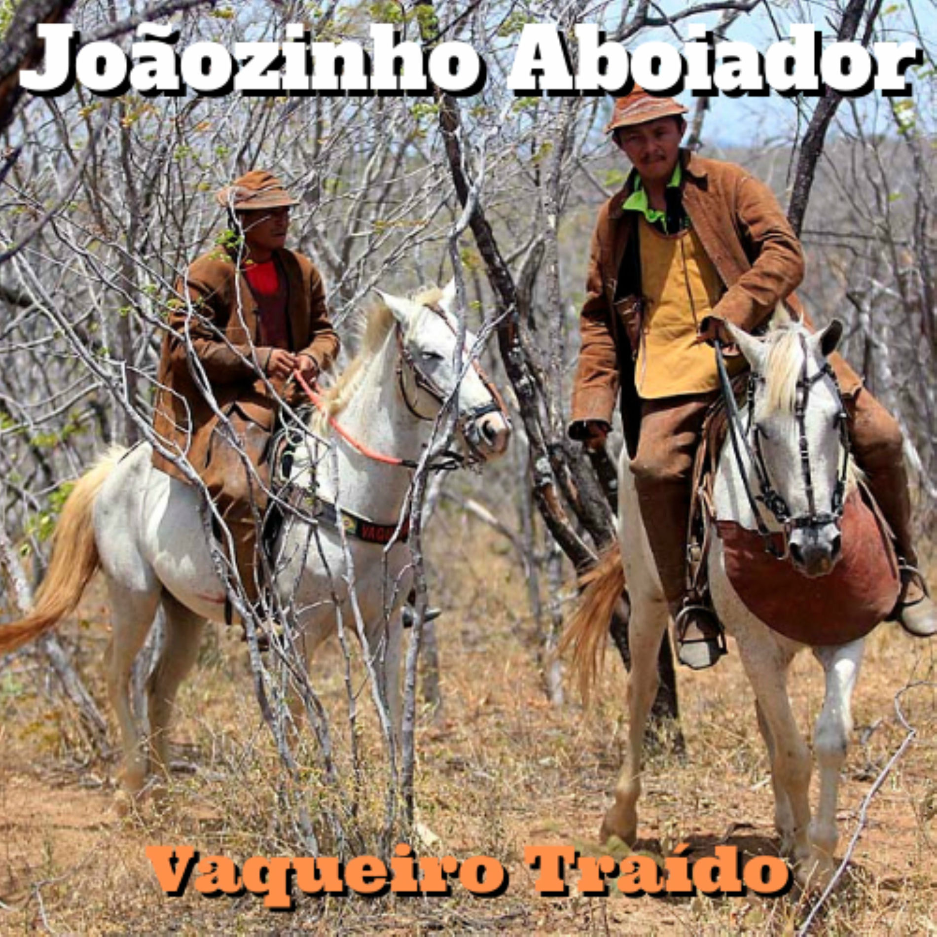 Album cover of Vaqueiro Traído