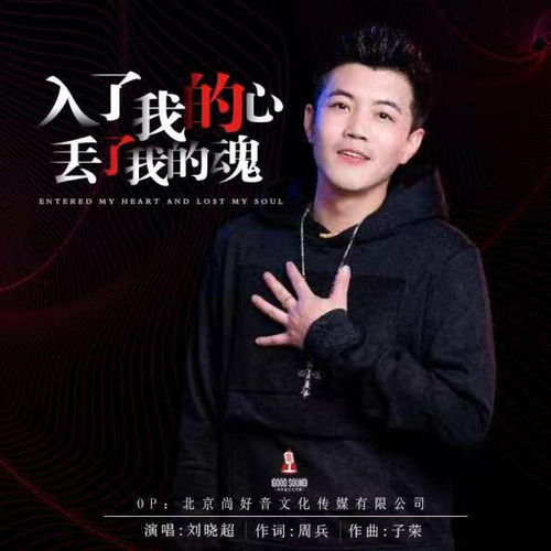 入了我的心丢了我的魂