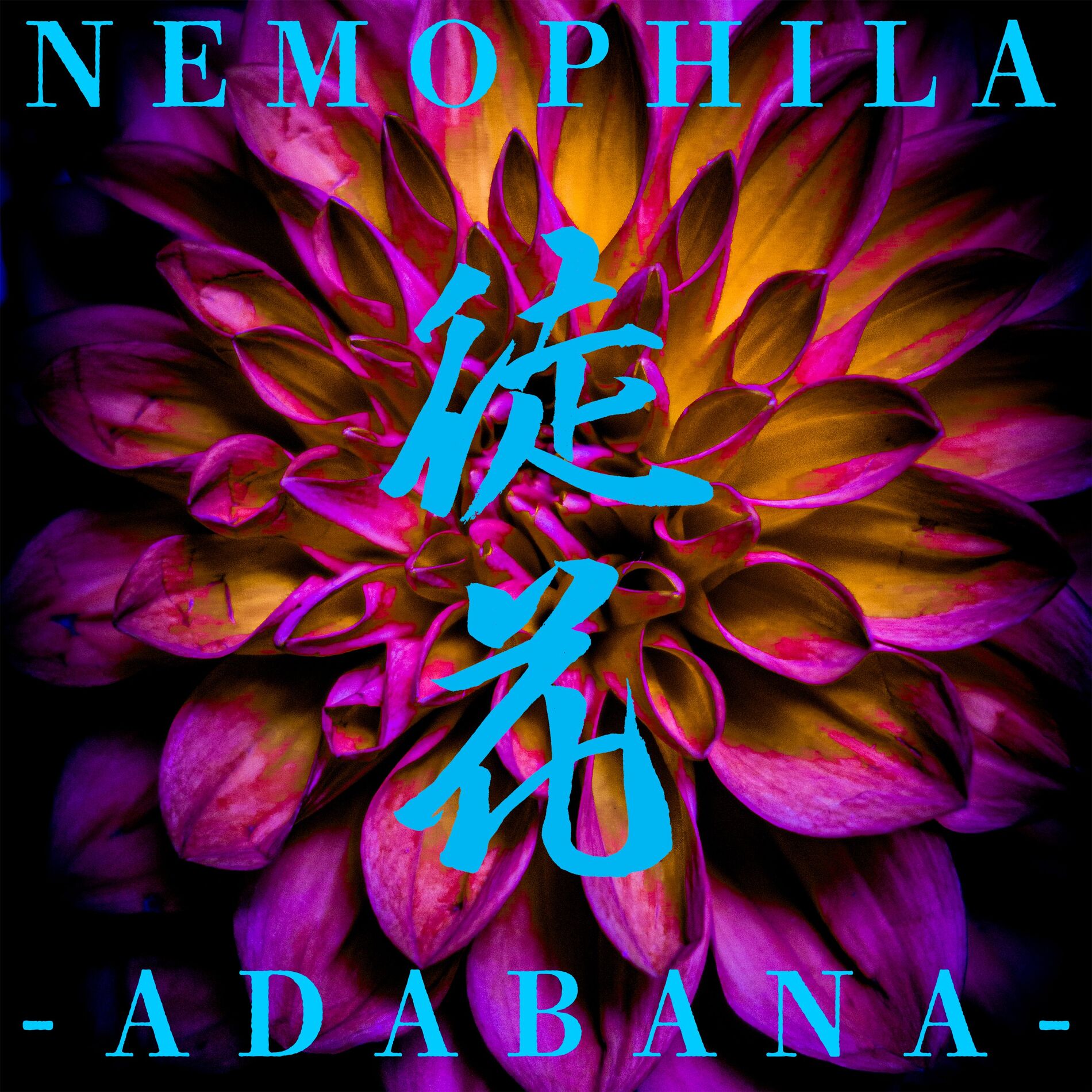 Album cover of 徒花 -ADABANA-