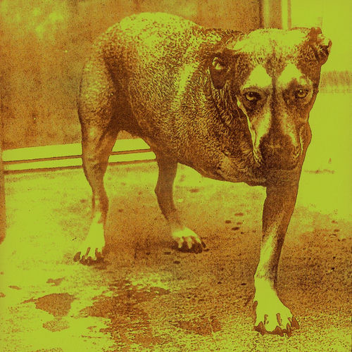 Alice In Chains - Alice in Chains | Deezer