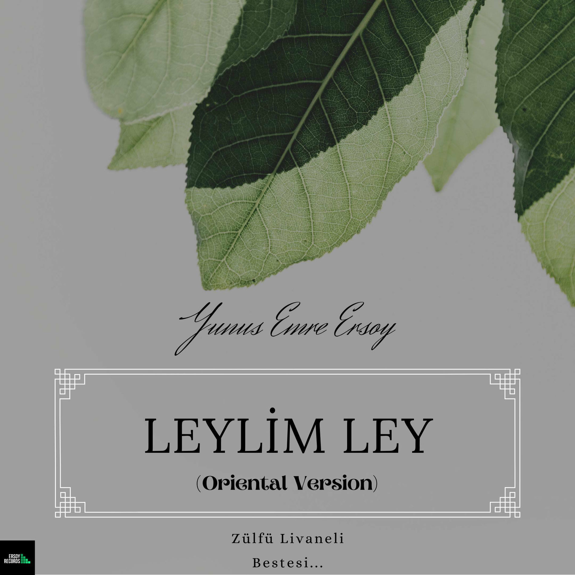 Album cover of Leylim Ley (Oriental Version)