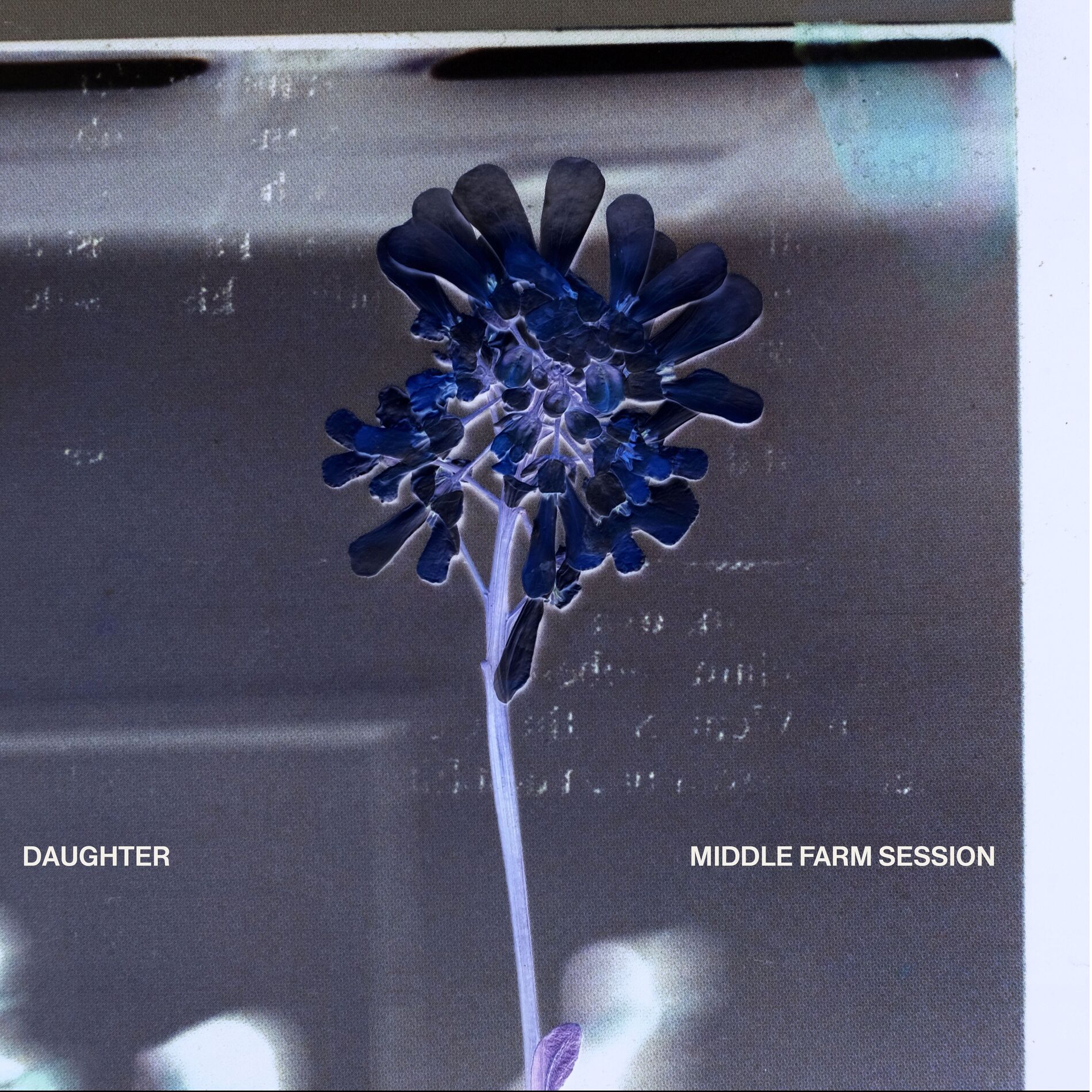 Album cover of Future Lover