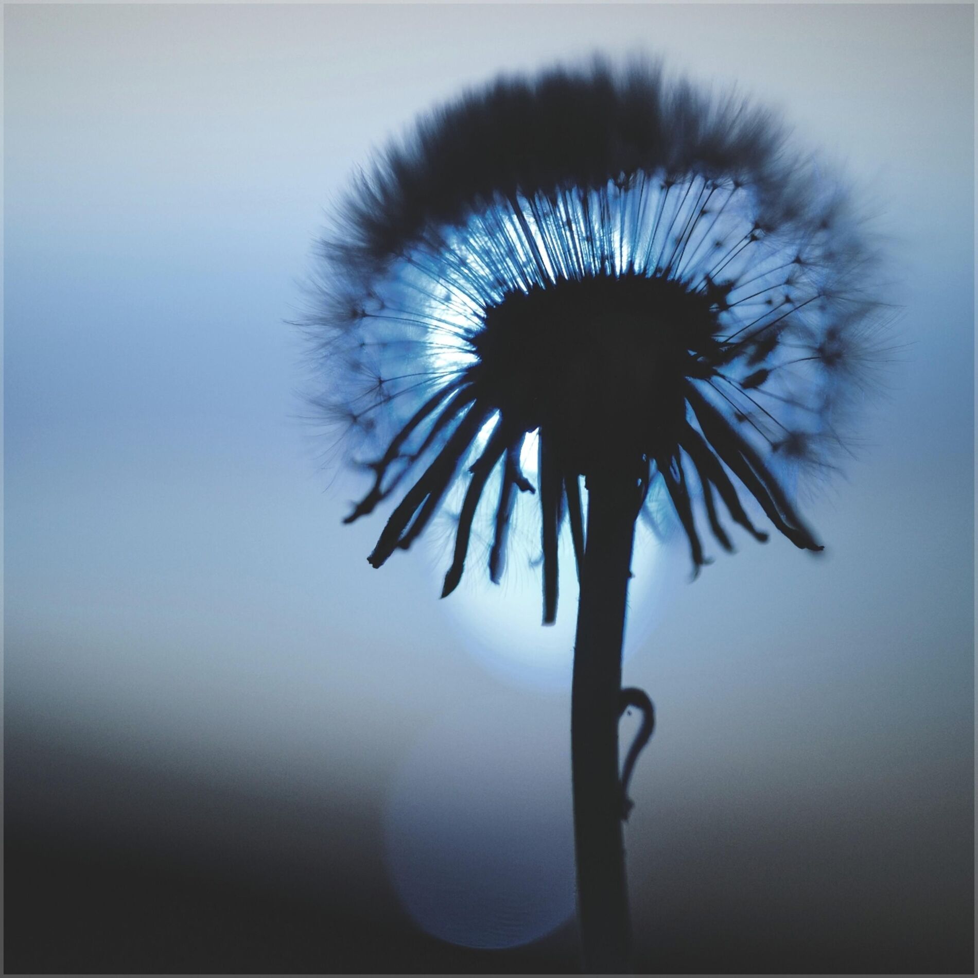 Album cover of Existence