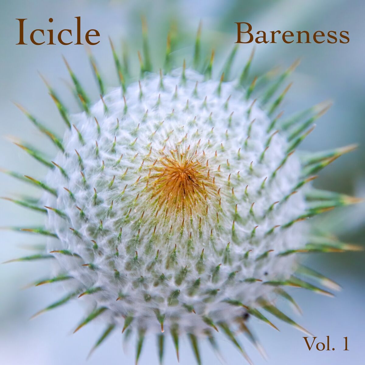 Album cover of Bareness, Vol. 1 (Unplugged)