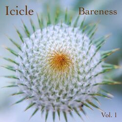 Cover of Bareness, Vol. 1 (Unplugged)