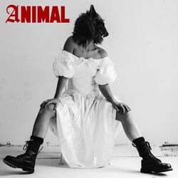 Cover of Animal