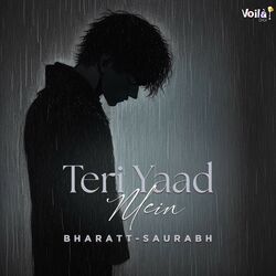 Cover of Teri Yaad Mein