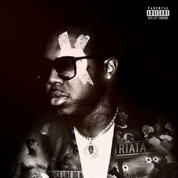 Cover of Ion Feel Nun